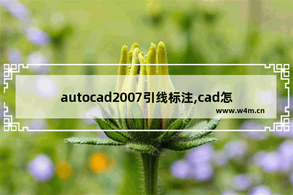 autocad2007引线标注,cad怎么标注引线序号