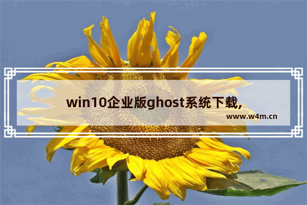 win10企业版ghost系统下载,