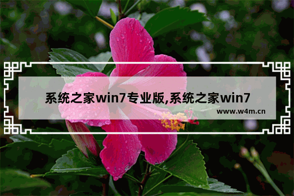 系统之家win7专业版,系统之家win7系统下载