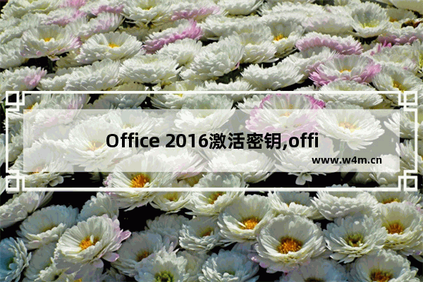 Office 2016激活密钥,office2016密钥激活码