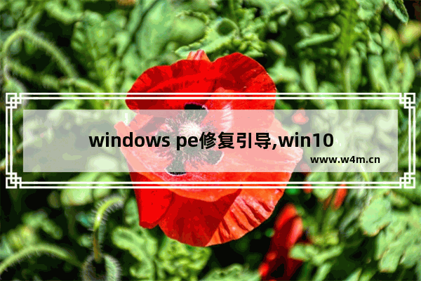 windows pe修复引导,win10怎么用pe修复引导