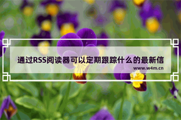 通过RSS阅读器可以定期跟踪什么的最新信息,