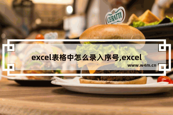 excel表格中怎么录入序号,excel如何依次编号