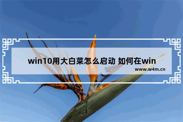 win10用大白菜怎么启动 如何在win10上使用大白菜进行启动