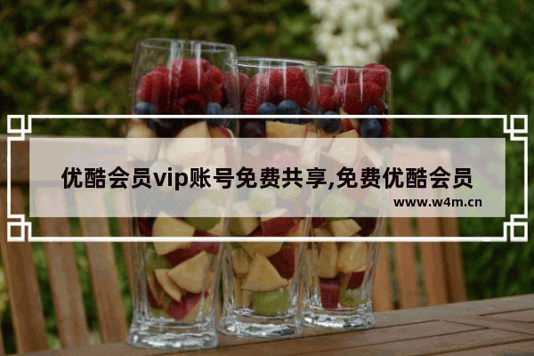 优酷会员vip账号免费共享,免费优酷会员账号分享_2