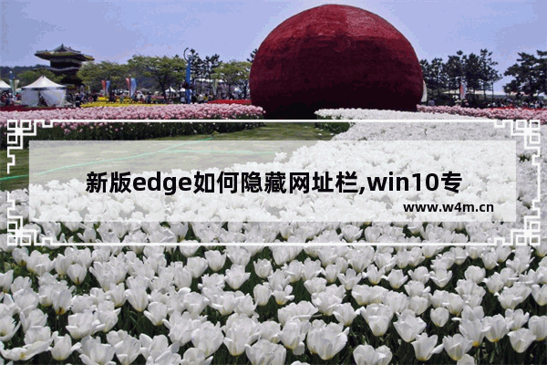 新版edge如何隐藏网址栏,win10专业版edge浏览器不见了