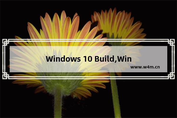 Windows 10 Build,Windows设计