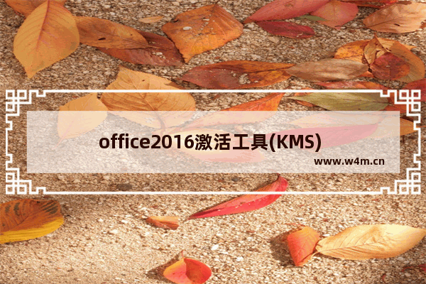 office2016激活工具(KMS) V10.2.0,kms激活工具激活office2013