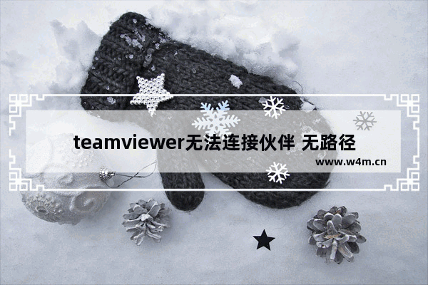 teamviewer无法连接伙伴 无路径,teamviewer连接不到网络