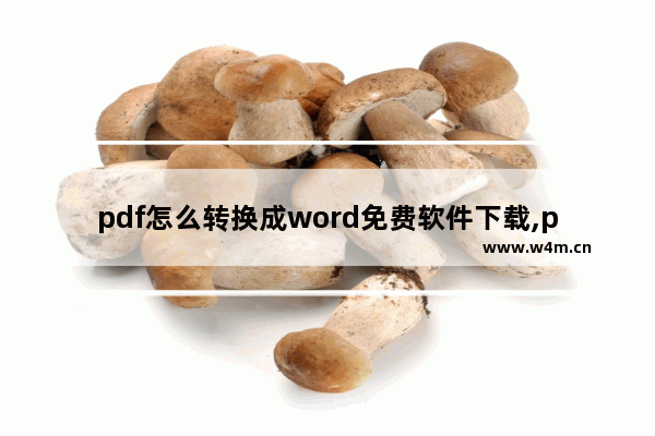 pdf怎么转换成word免费软件下载,pdf转换器怎么把word转换成pdf