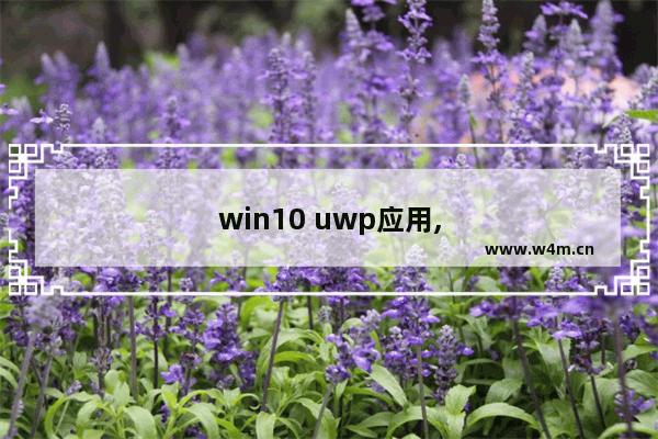 win10 uwp应用,