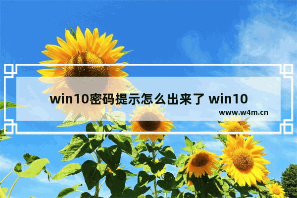 win10密码提示怎么出来了 win10密码提示突然消失怎么办？