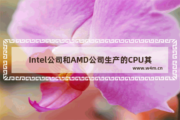 Intel公司和AMD公司生产的CPU其指令系统互不兼容,amd和高通是一家公司吗