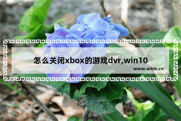 怎么关闭xbox的游戏dvr,win10禁用xbox录制