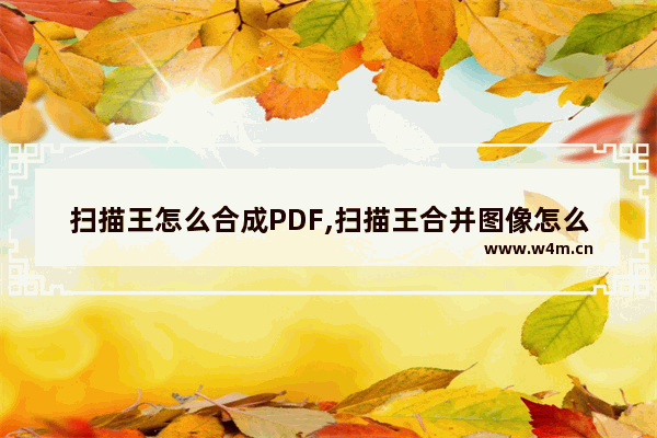 扫描王怎么合成PDF,扫描王合并图像怎么导出