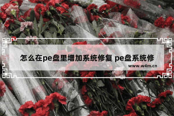 怎么在pe盘里增加系统修复 pe盘系统修复增加方法