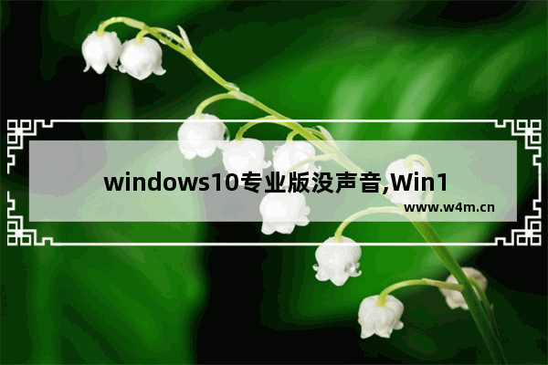 windows10专业版没声音,Win10专业版重装系统后没有声音怎么办-