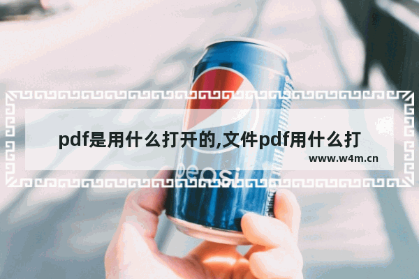 pdf是用什么打开的,文件pdf用什么打开