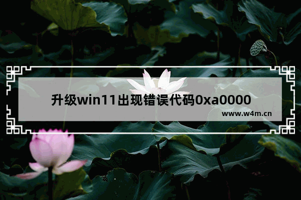 升级win11出现错误代码0xa0000400,win11错误代码0xc0000001