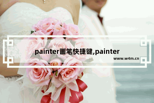 painter画笔快捷键,painter功能介绍