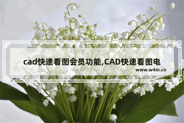 cad快速看图会员功能,CAD快速看图电脑版_1