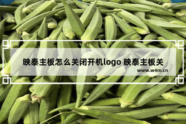 映泰主板怎么关闭开机logo 映泰主板关开机LOGO的方法