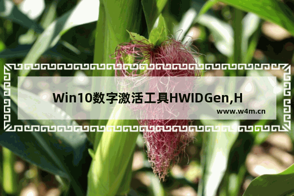 Win10数字激活工具HWIDGen,HWIDGEN v62.01中文版(Win10永久数字激活工具)