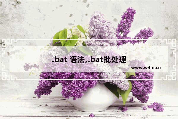 .bat 语法,.bat批处理