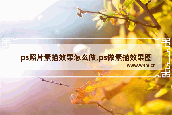 ps照片素描效果怎么做,ps做素描效果图