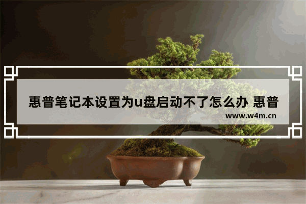 惠普笔记本设置为u盘启动不了怎么办 惠普笔记本无法通过U盘启动，应该如何解决？