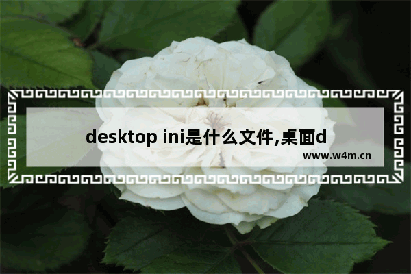 desktop ini是什么文件,桌面desktop.ini可以删除吗