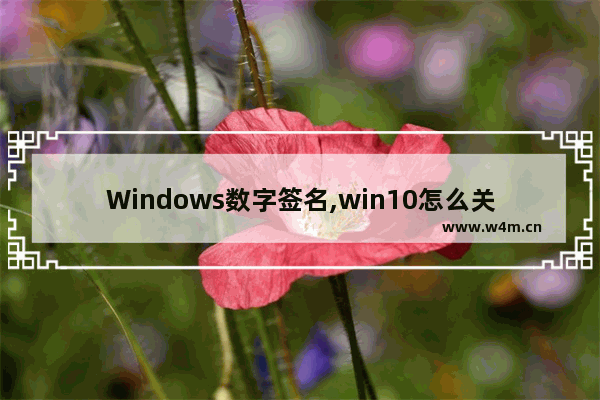 Windows数字签名,win10怎么关闭数字签名