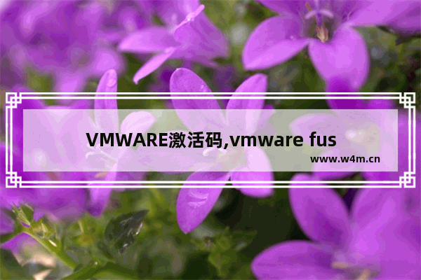 VMWARE激活码,vmware fusion 激活