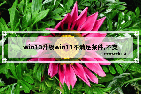 win10升级win11不满足条件,不支持升级windows11