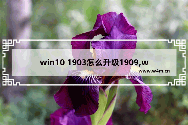 win10 1903怎么升级1909,windows10 1903好用吗