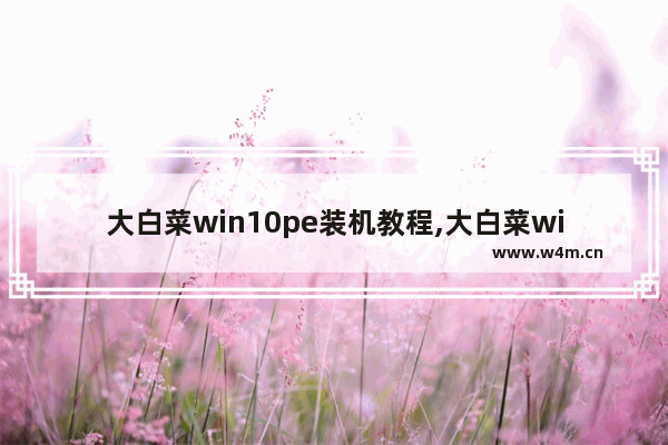 大白菜win10pe装机教程,大白菜winpe怎么装系统