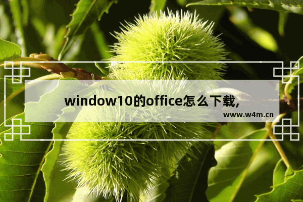 window10的office怎么下载,windows10怎么下载office软件