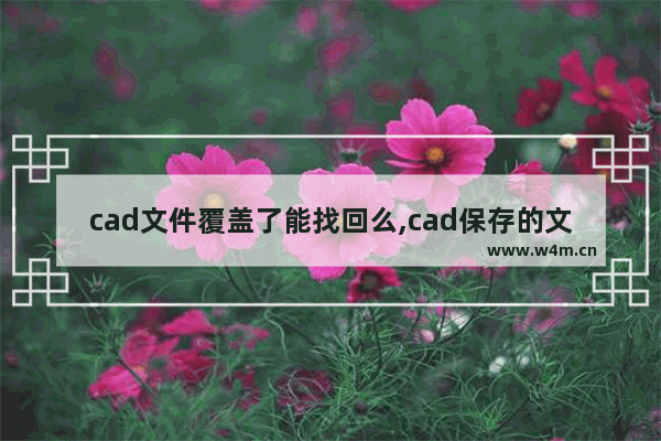 cad文件覆盖了能找回么,cad保存的文件被覆盖了