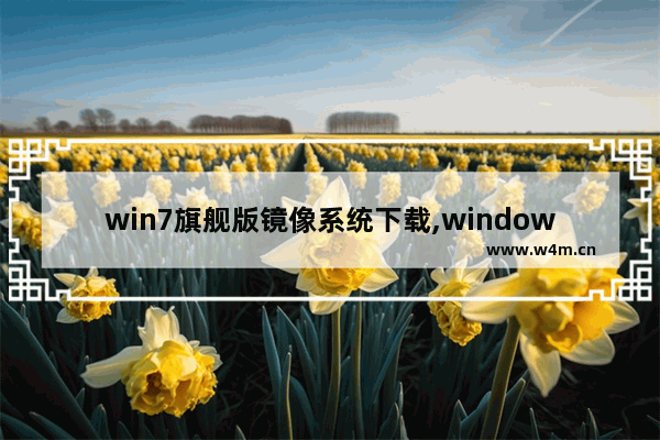 win7旗舰版镜像系统下载,windows7旗舰版系统镜像下载