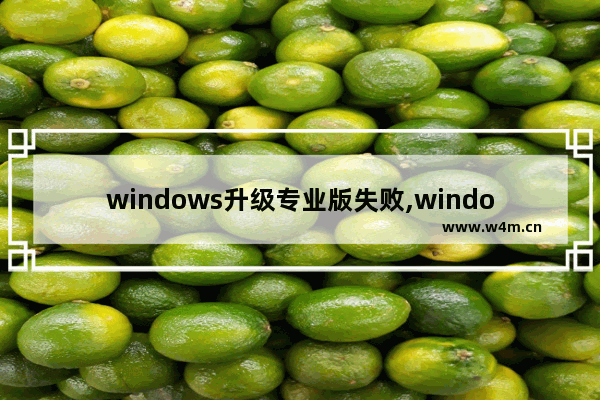 windows升级专业版失败,windows10无法升级专业版