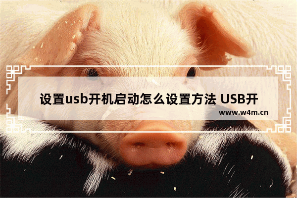 设置usb开机启动怎么设置方法 USB开机启动设置方法