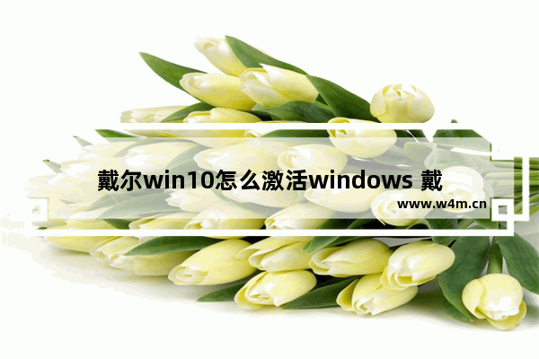 戴尔win10怎么激活windows 戴尔win10如何激活Windows