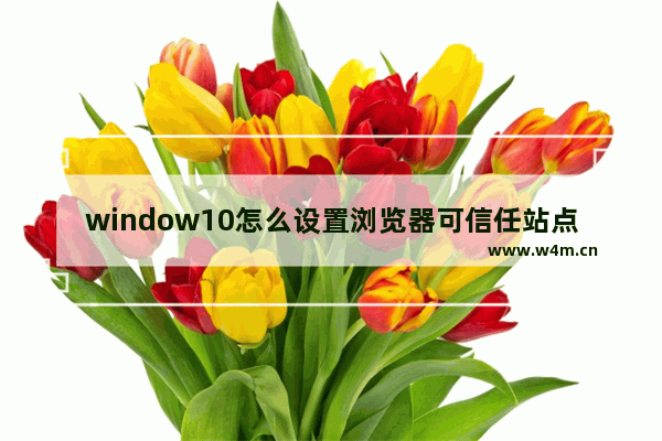 window10怎么设置浏览器可信任站点,chrome浏览器添加信任站点