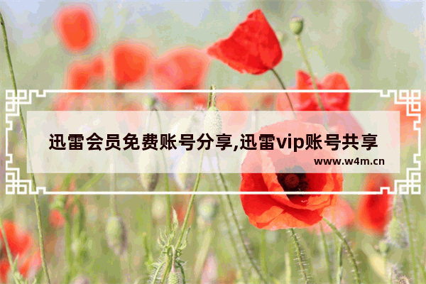 迅雷会员免费账号分享,迅雷vip账号共享最新_13