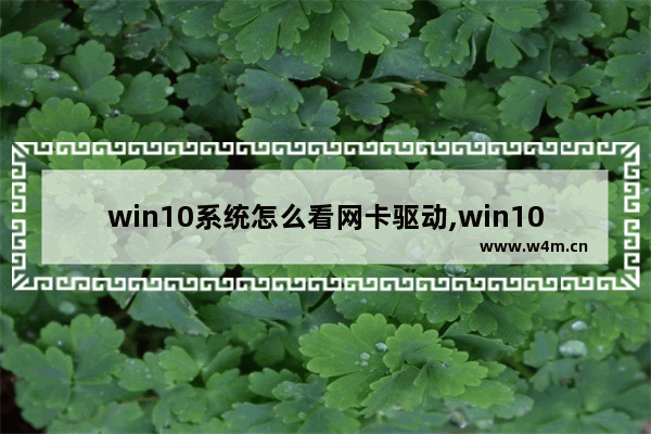 win10系统怎么看网卡驱动,win10查看无线网卡驱动