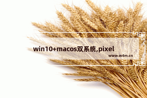 win10+macos双系统,pixelbook win10