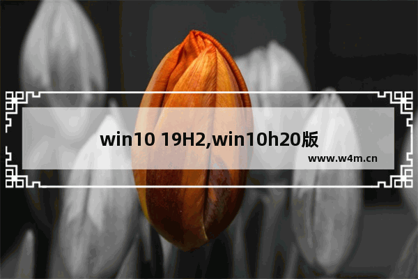 win10 19H2,win10h20版本bug