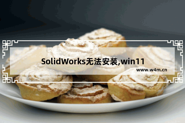 SolidWorks无法安装,win11无法安装solidworks