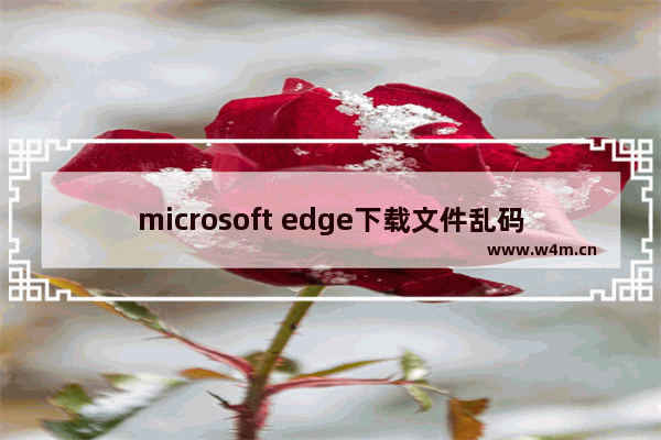 microsoft edge下载文件乱码,win10家庭版edge下载文件名乱码