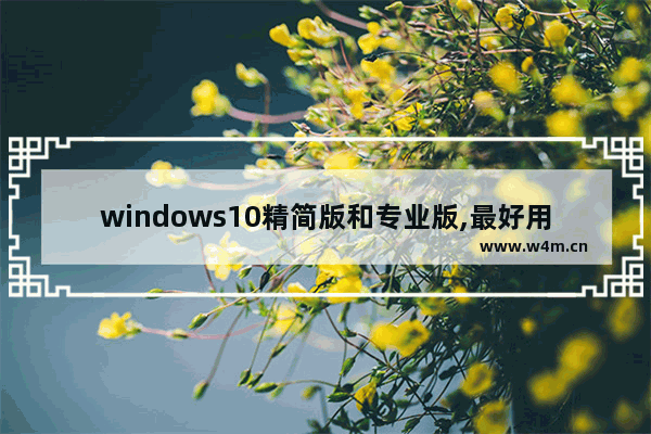 windows10精简版和专业版,最好用的win10精简版